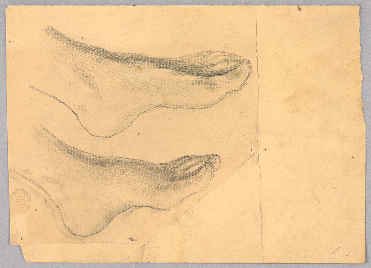 Study for 