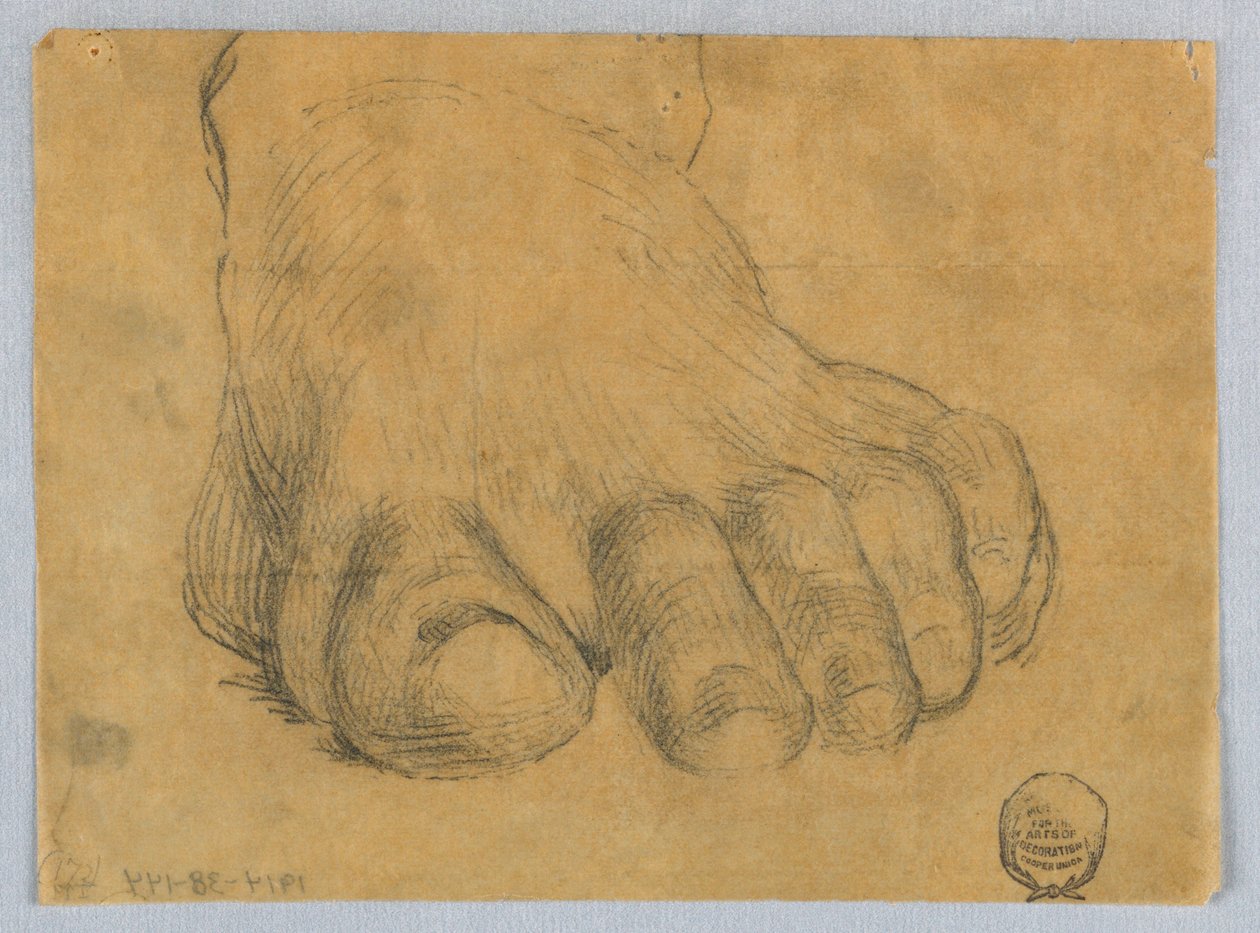 Study of Left Foot by Francis Augustus Lathrop