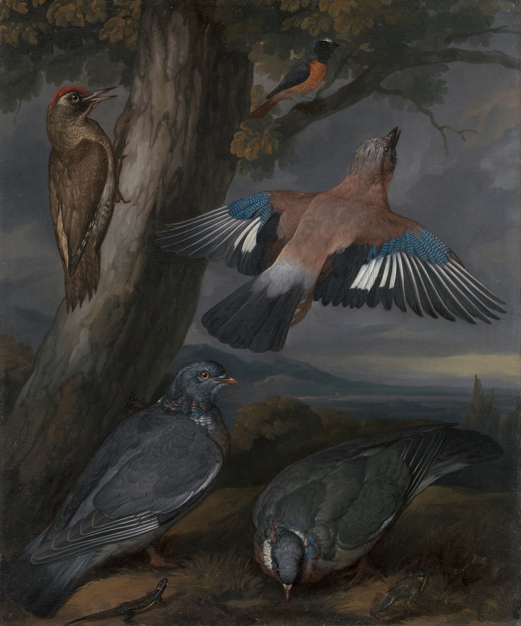 Jay, Green Woodpecker, Pigeons, and Redstart by Francis Barlow