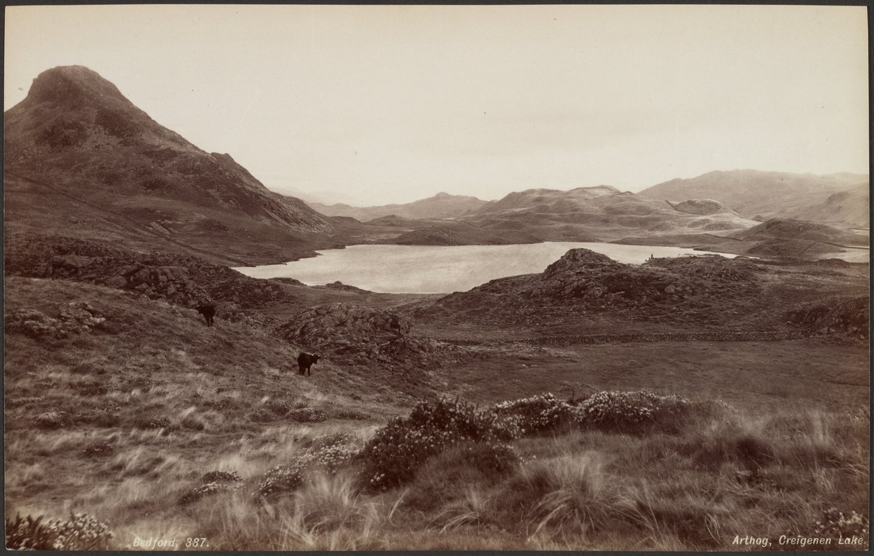 Arthog, Creigenen Lake by Francis Bedford