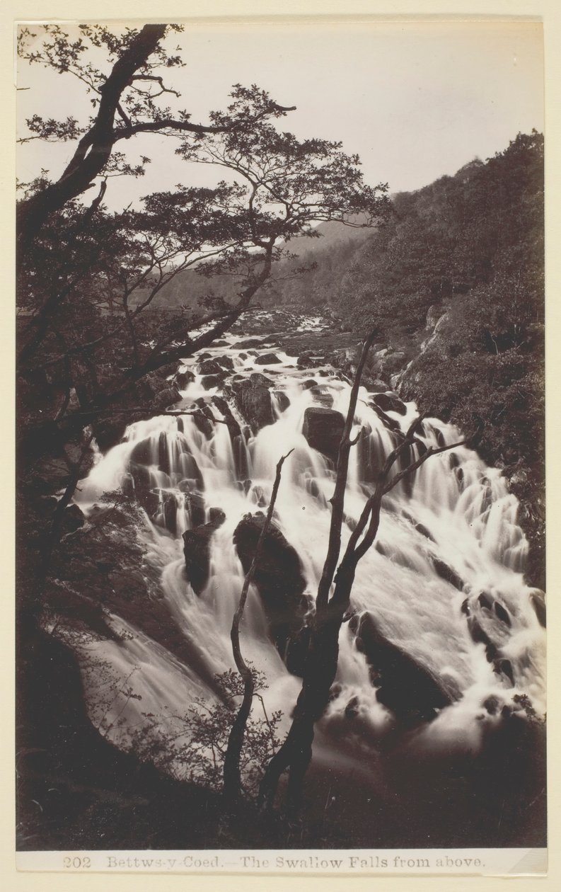 Bettws-y Coed, The Swallow Falls from Above by Francis Bedford