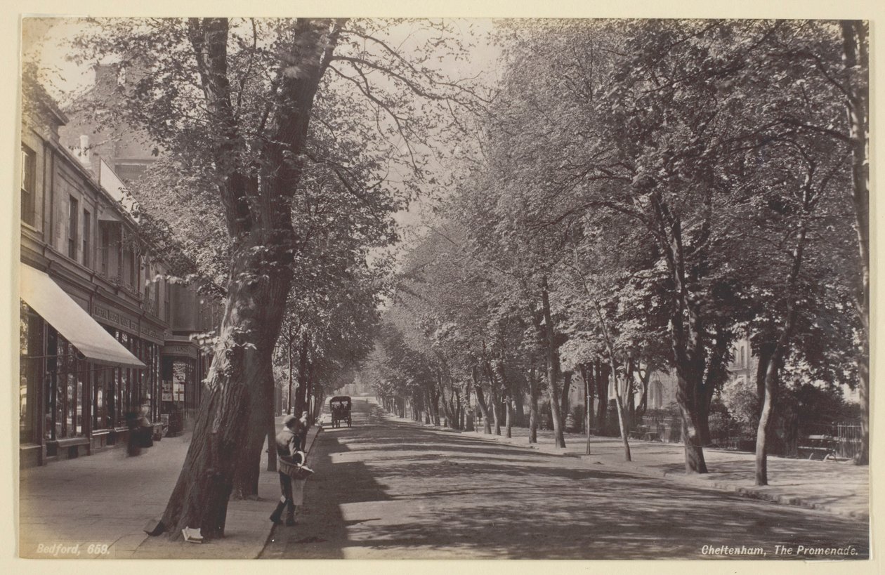 Cheltenham, the Promenade by Francis Bedford