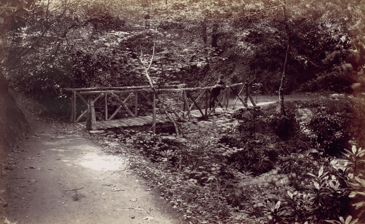 Colwyn Bay. Rustic Bridge in the Wood by Francis Bedford