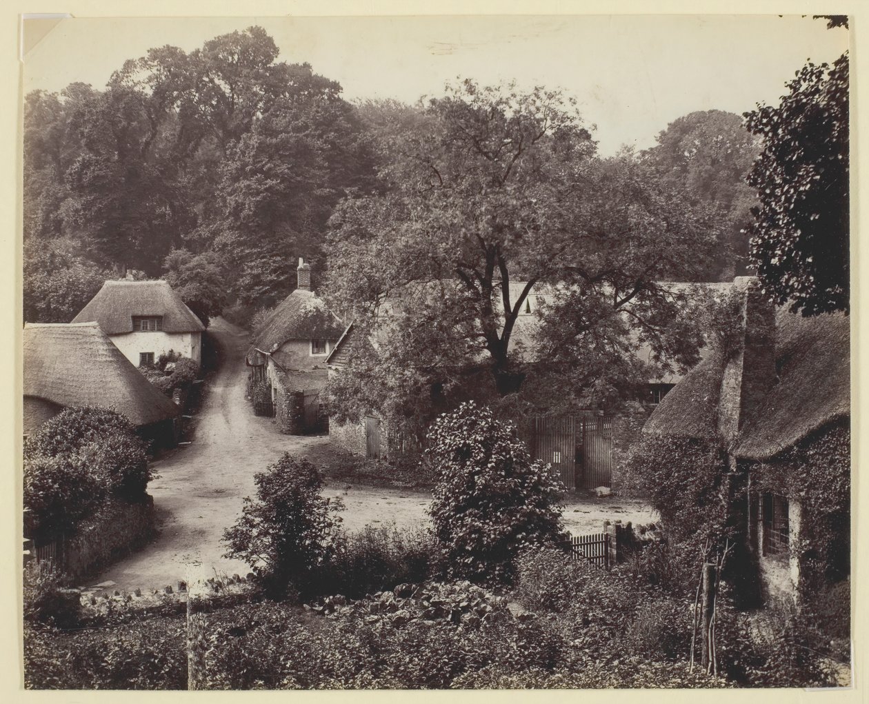 Untitled [thatched cottages] by Francis Bedford