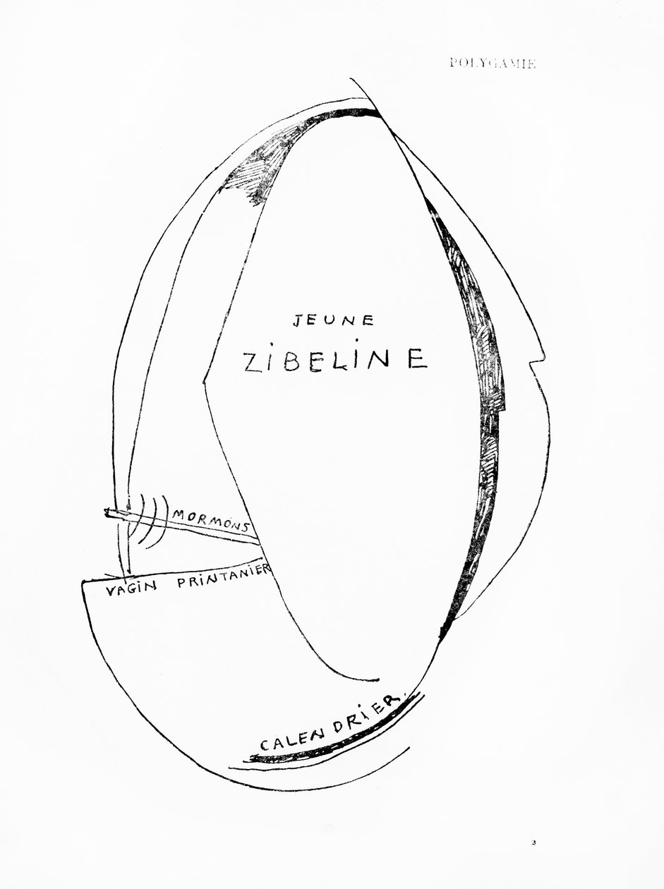 Poems and Drawings of the Girl Born Without a Mother, no.15, published by Imprimeries Reunies, Lausanne by Francis Picabia