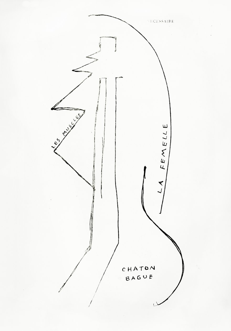 Poems and Drawings of the Girl Born Without a Mother, no.23, published by Imprimeries Reunies, Lausanne by Francis Picabia