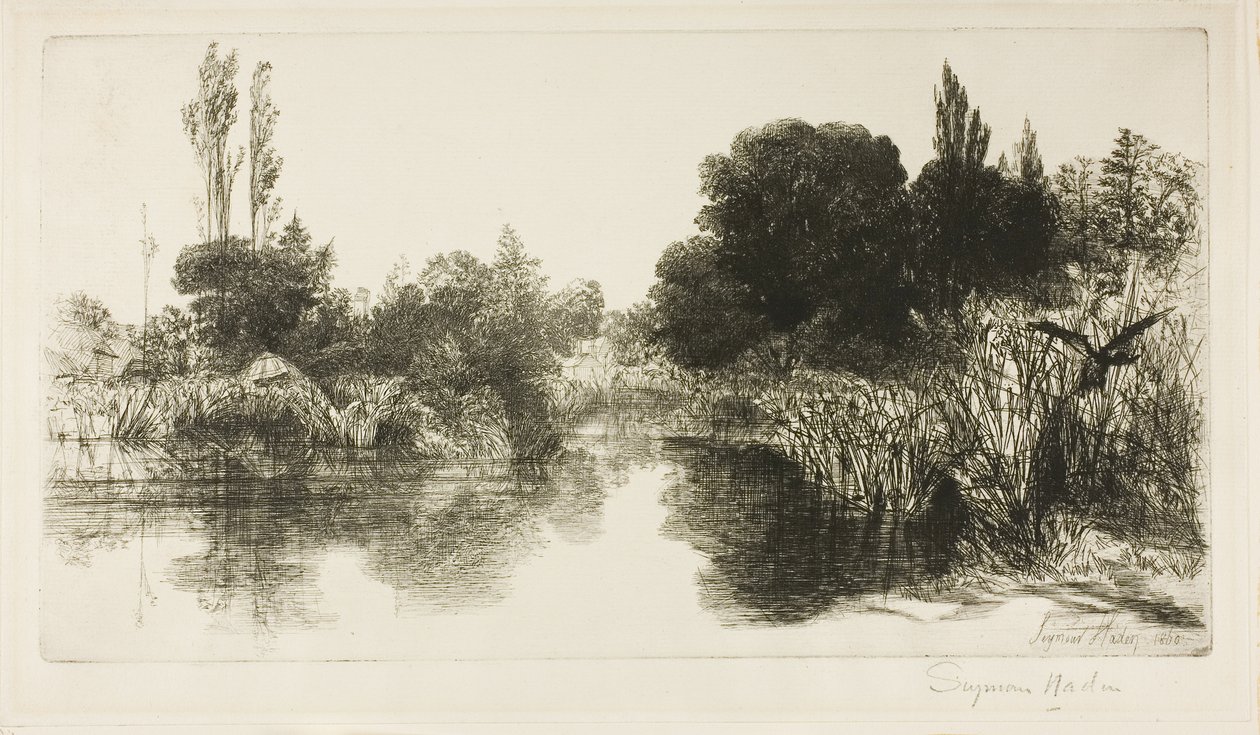 Shere Mill Pond, No. II by Francis Seymour Haden