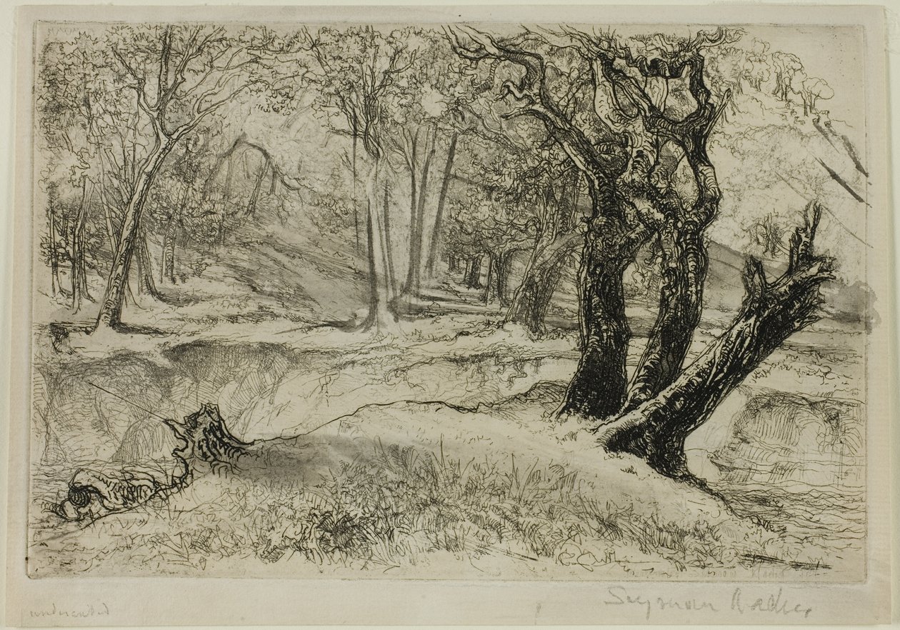 The Three Sisters by Francis Seymour Haden