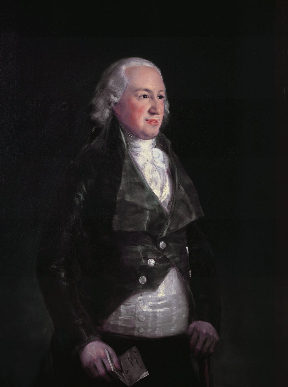 Don Pedro de Alcántara Téllez-Girón by Francisco de Goya