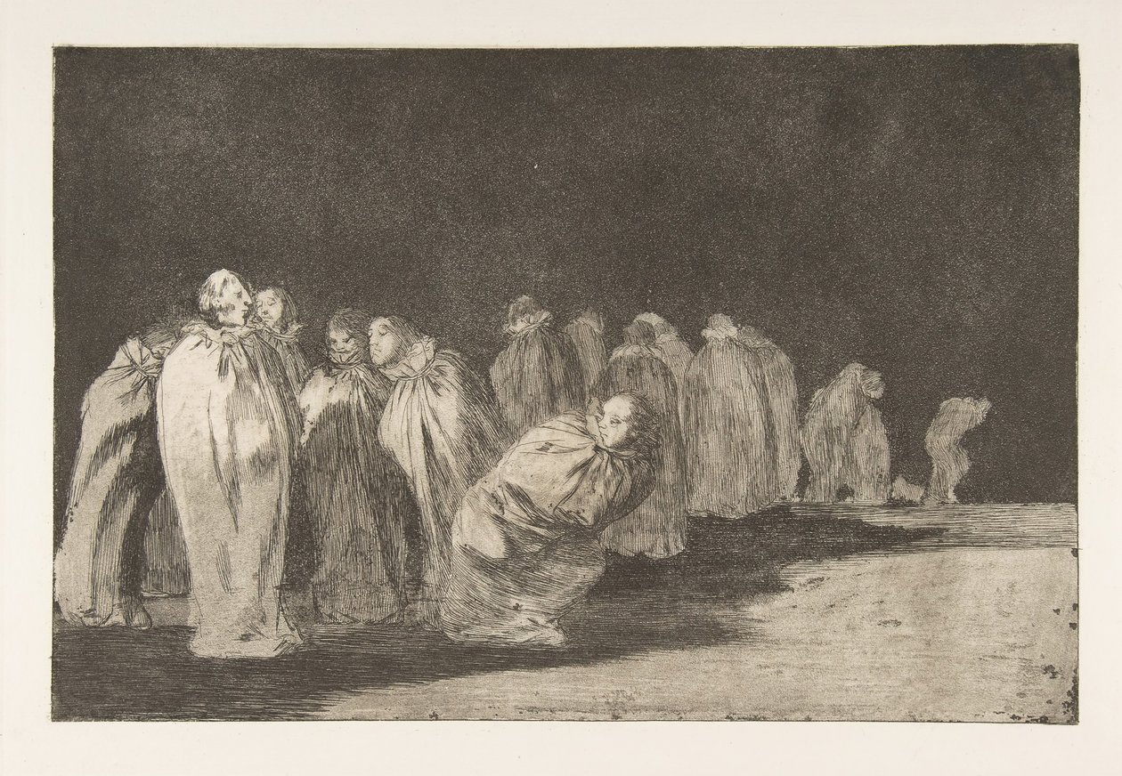 Plate 8 from the 