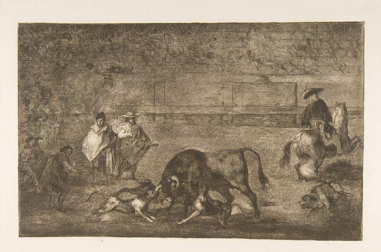 The Dogs Let Loose on the Bull by Francisco de Goya