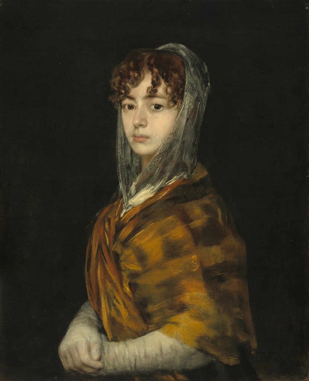 Señora Sabasa Garcia by Francisco de Goya