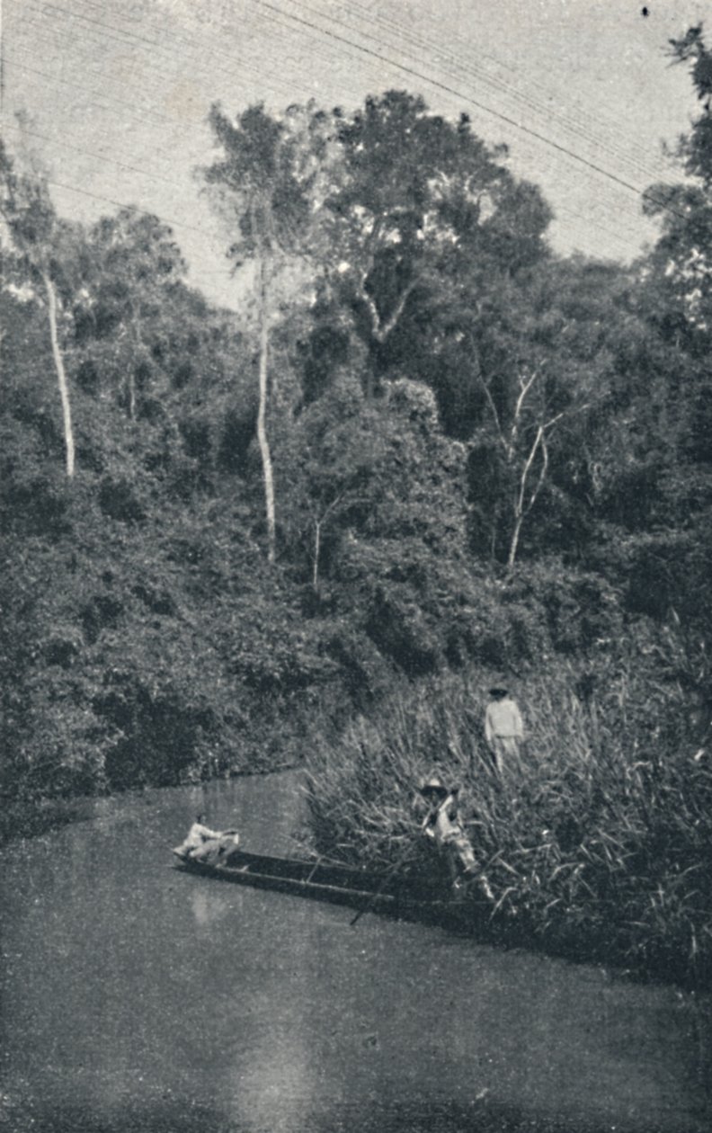 Rio de S. Anastacio by Francisco Henszler