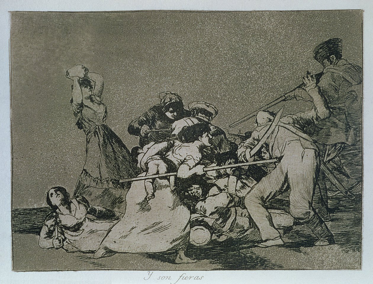 And they are like wild beasts, plate 5 of 