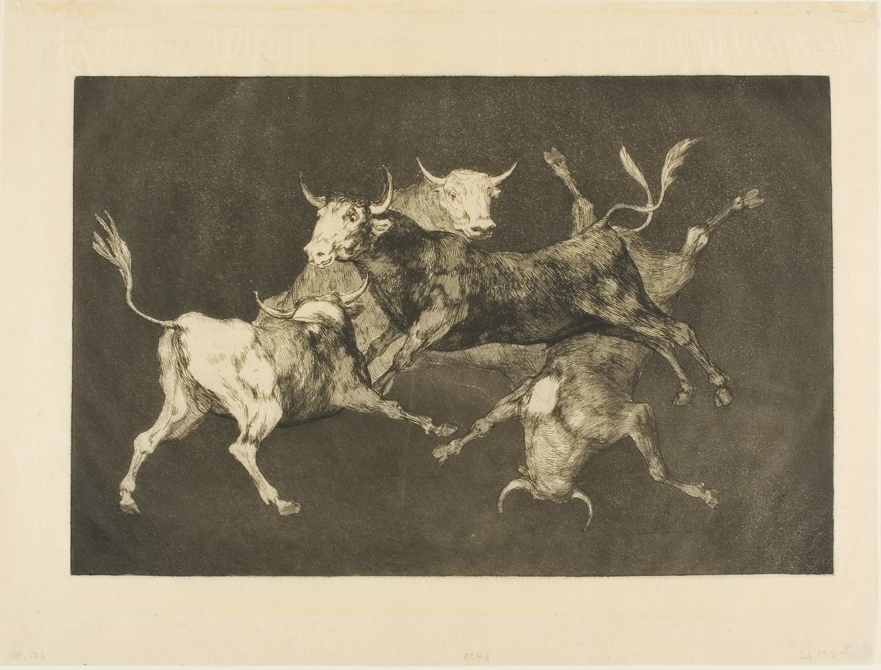 Fool’s Folly, from Disparates by Francisco Jose de Goya y Lucientes