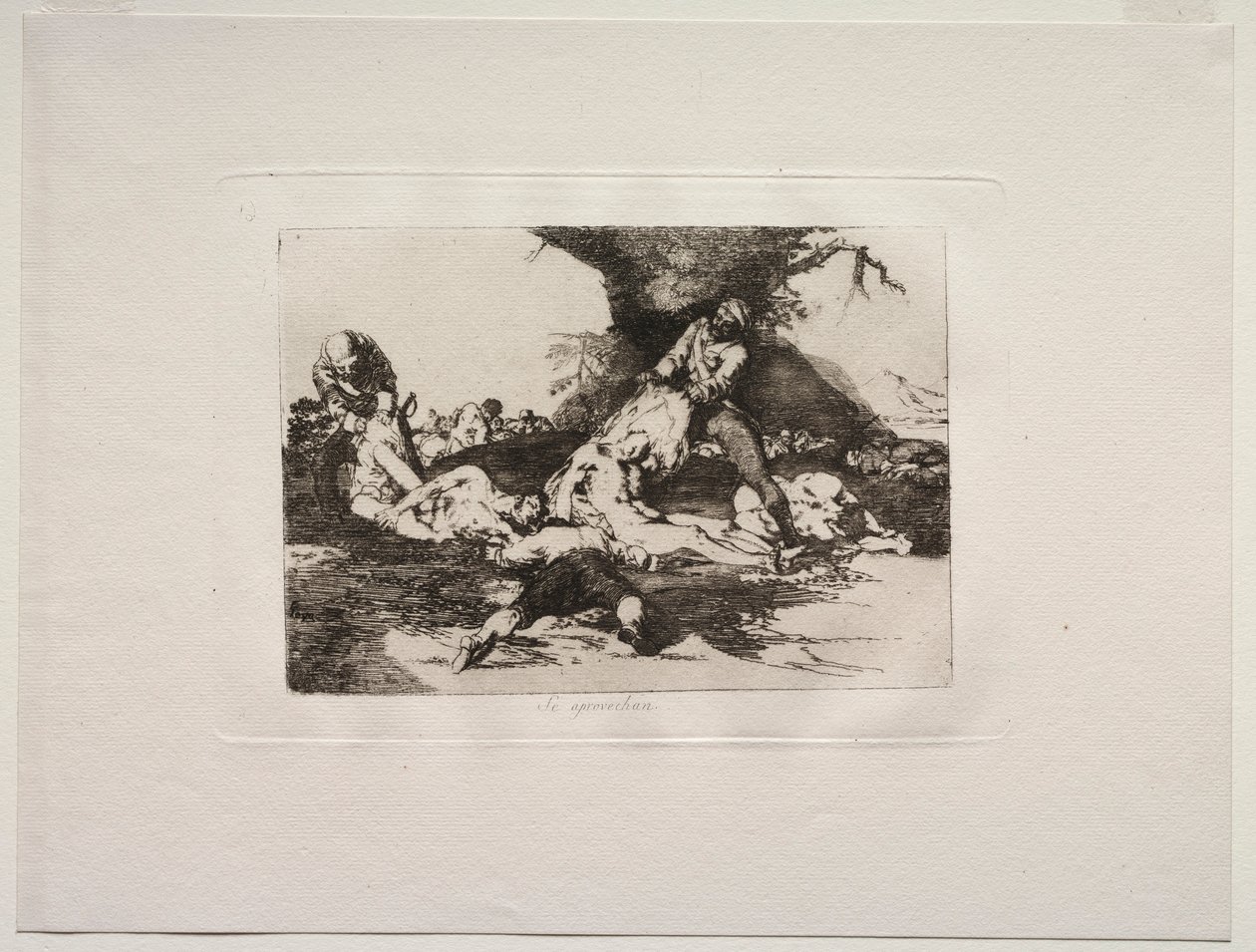 The Horrors of War: They Make Use of Them by Francisco de Goya