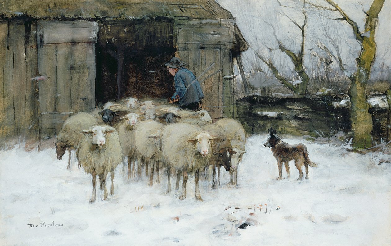 Sheep on a Winter