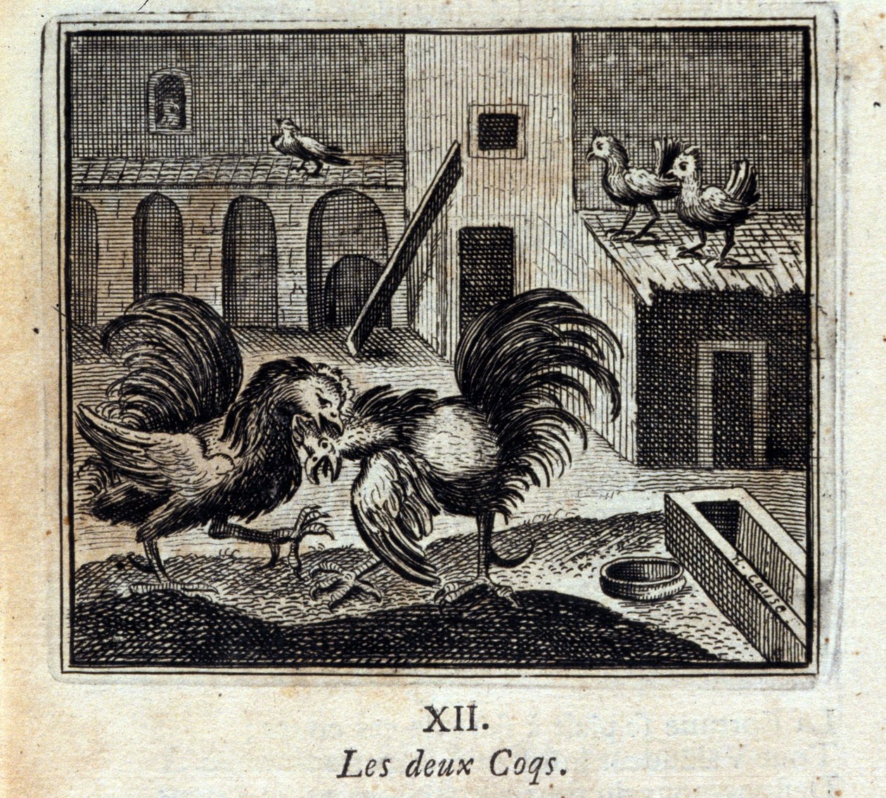 Both Cocks by Francois Chauveau
