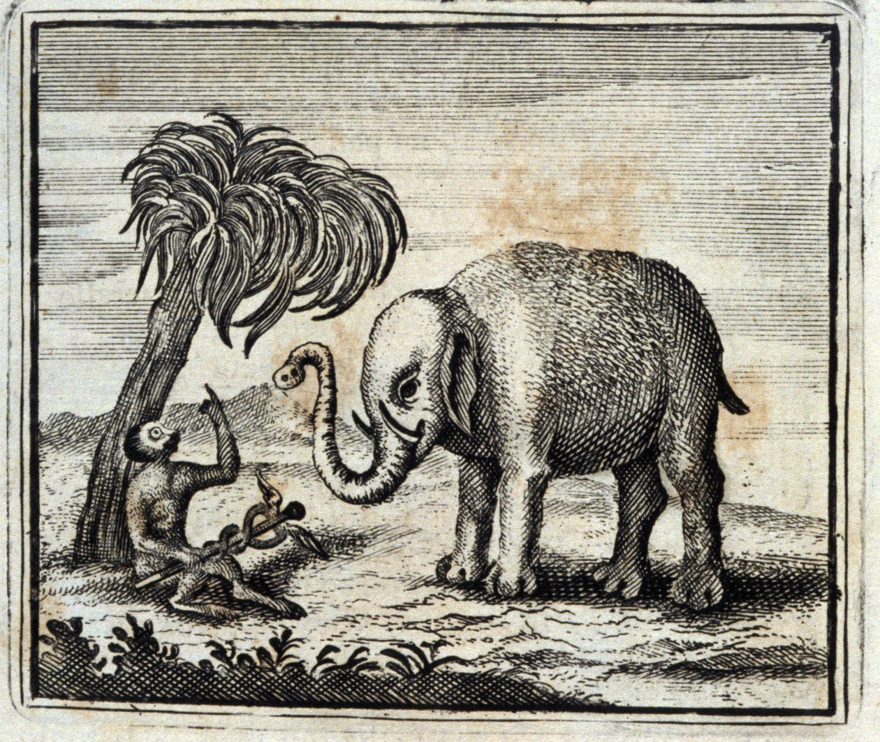 The Elephant and the Monkey of Jupiter. Fables by Jean de La Fontaine. Illustration by François Chauveau. Edition of 1728. by Francois Chauveau