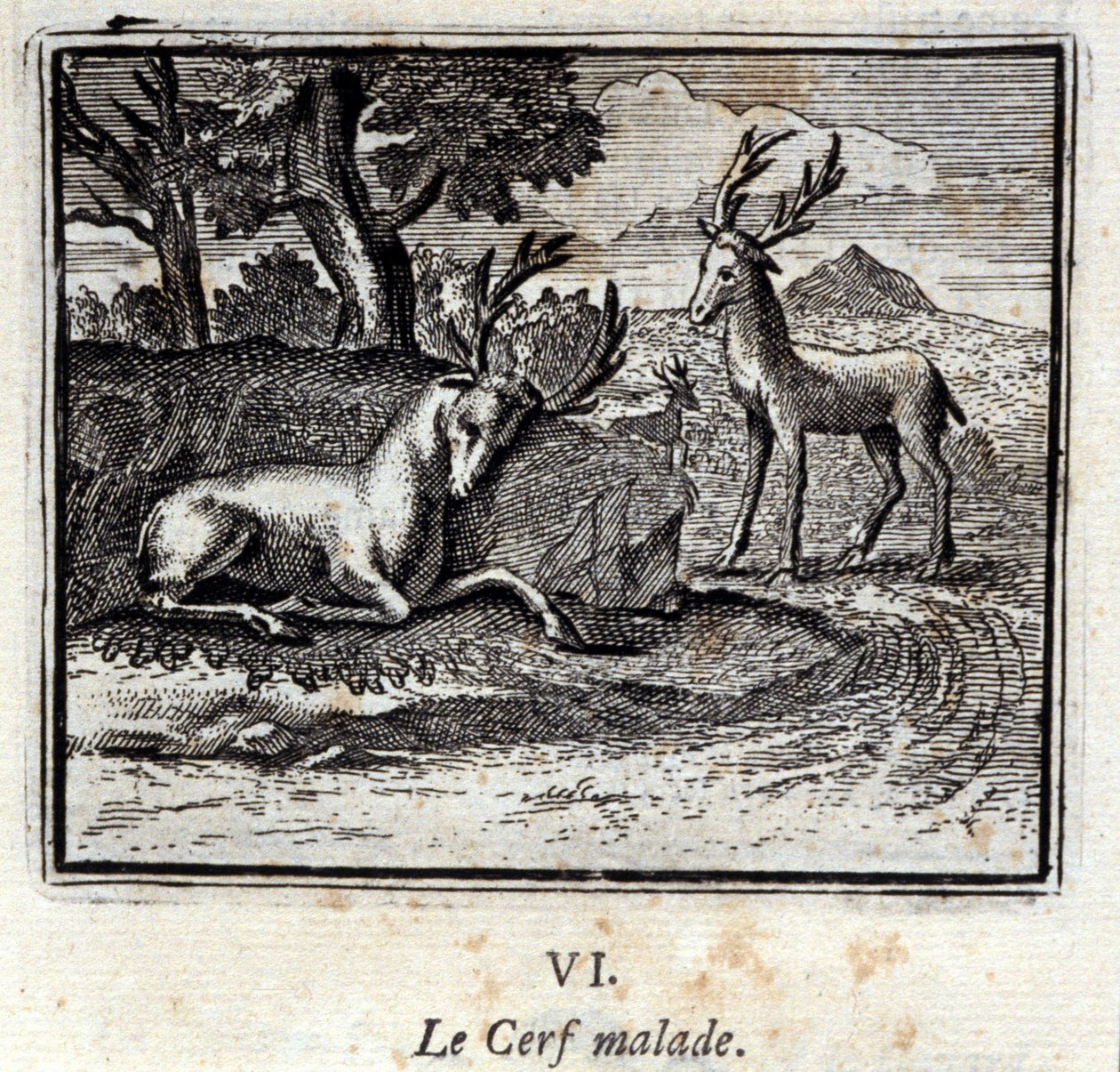 The sick deer (Illustration by François Chauveau) by Francois Chauveau