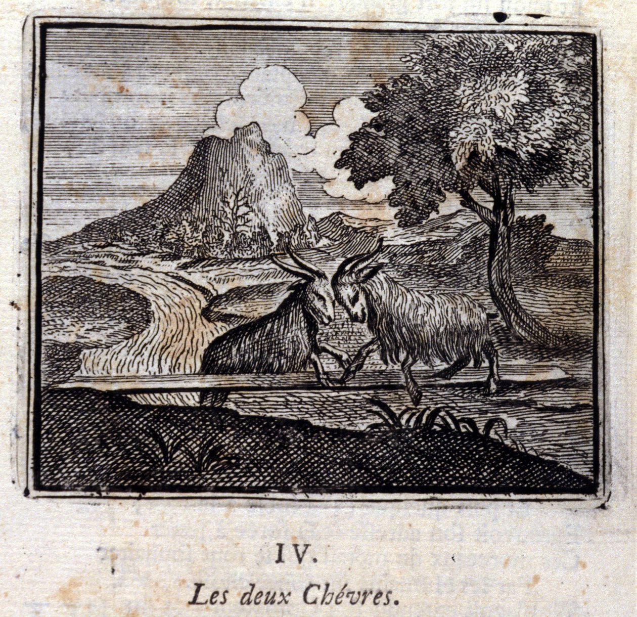 The two goats (Illustration by François Chauveau) by Francois Chauveau