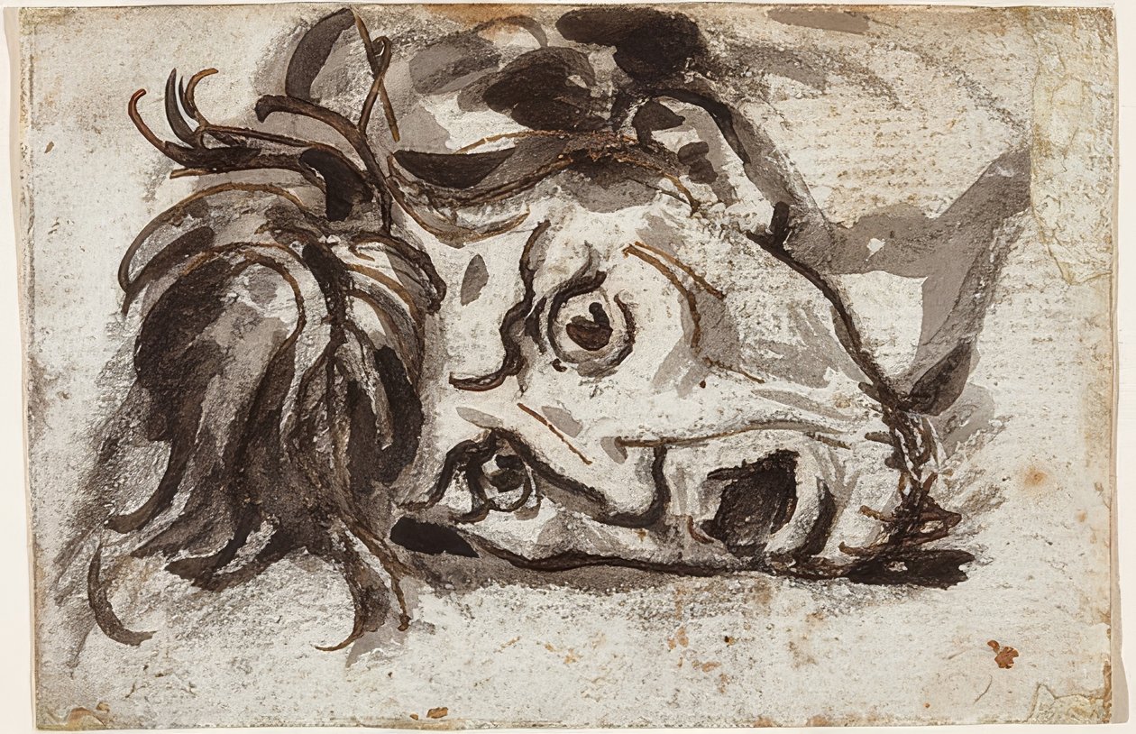 Head of a Man with Open Mouth and Wide-Open Eyes by Francois Pascal Simon Gerard