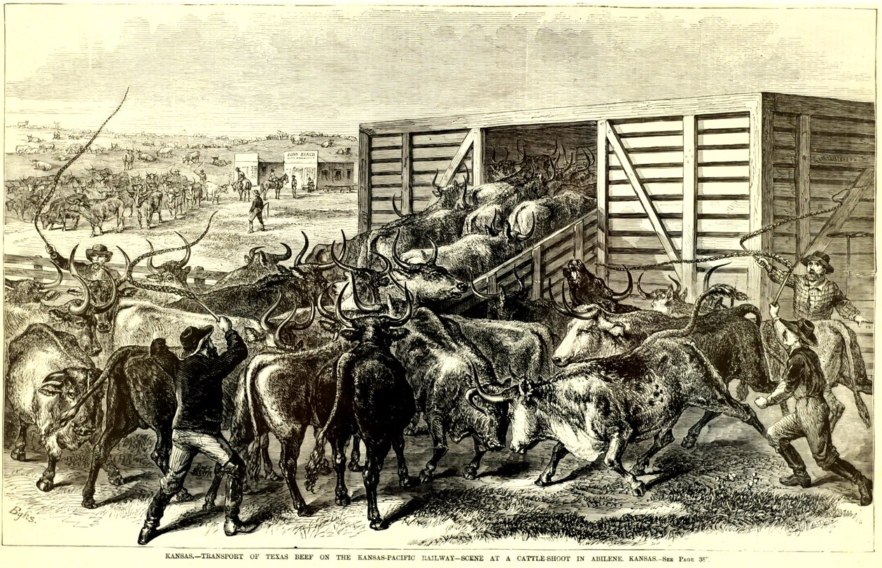Cattle Chute in Abilene, Kansas, c. 1871 by Frank Leslie