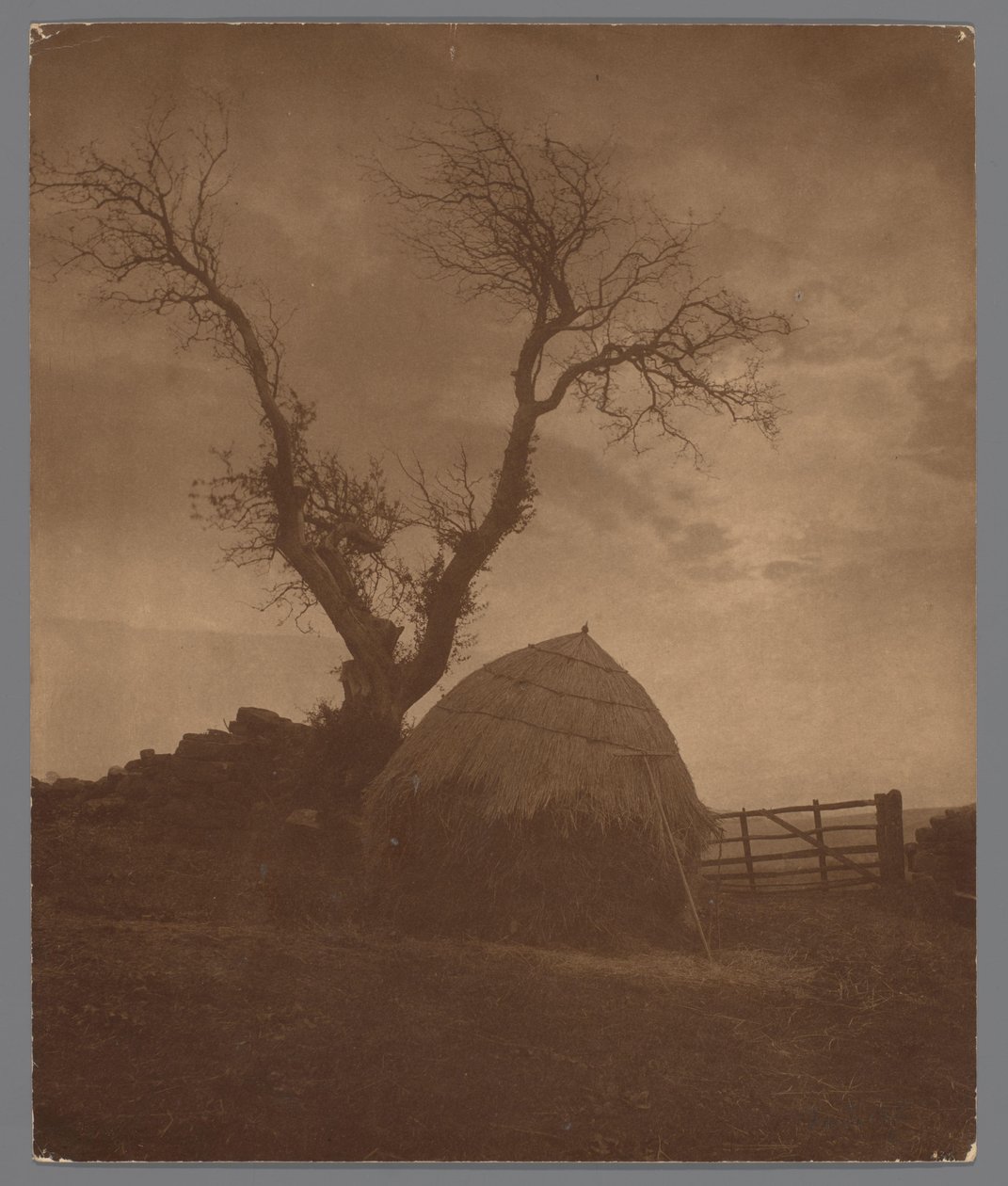 The Curfew of the Sun by Frank Meadow Sutcliffe