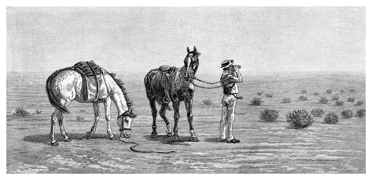 Nothing in Sight, 1886 by Frank P. Mahony