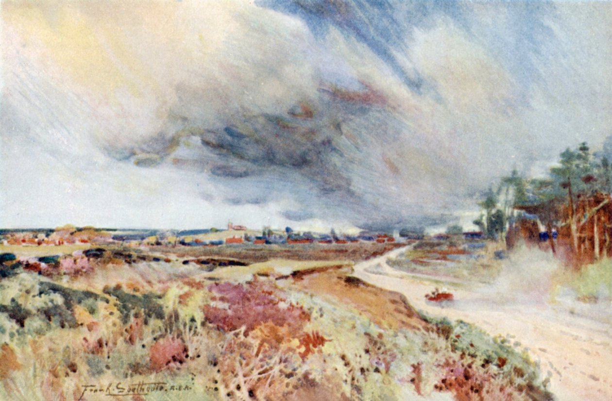 Heath near Sandringham by Frank Southgate