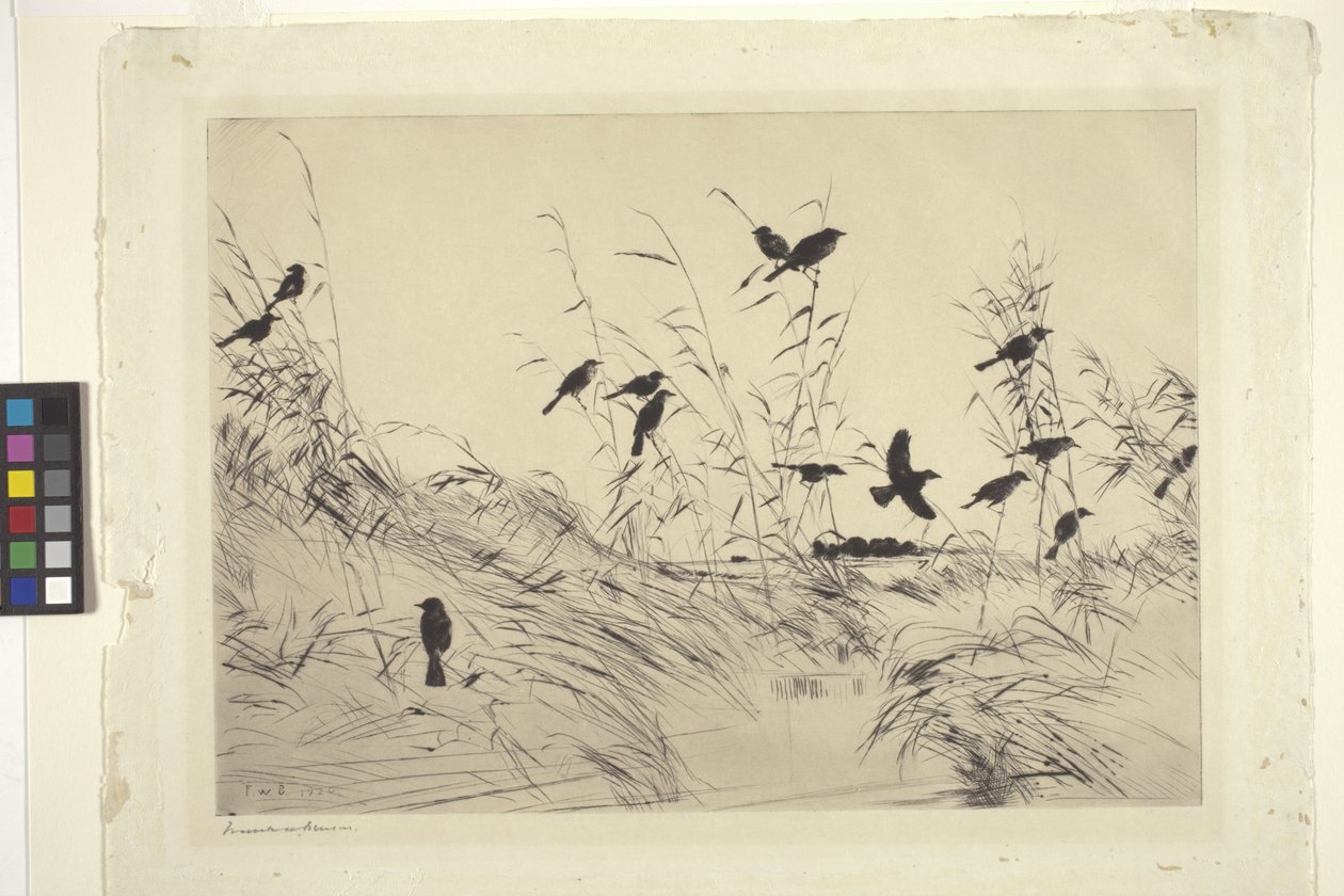 Blackbirds And Rushes by Frank Weston Benson