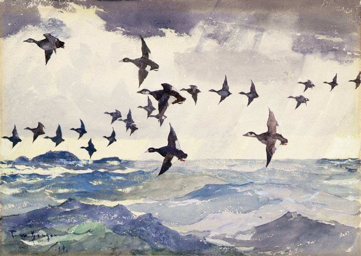 Scoters over Water by Frank Weston Benson