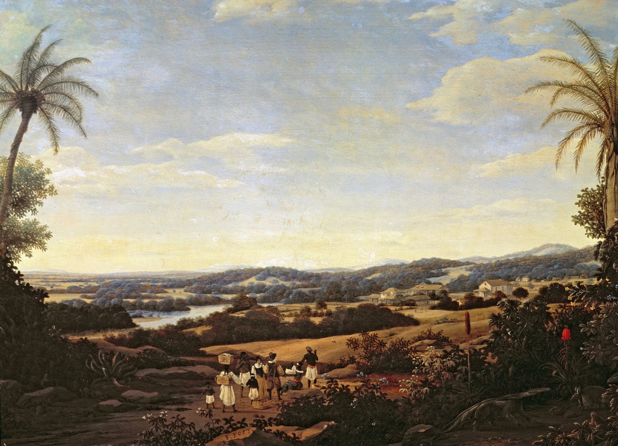 Brazilian Landscape with a Plantation by Frans Post