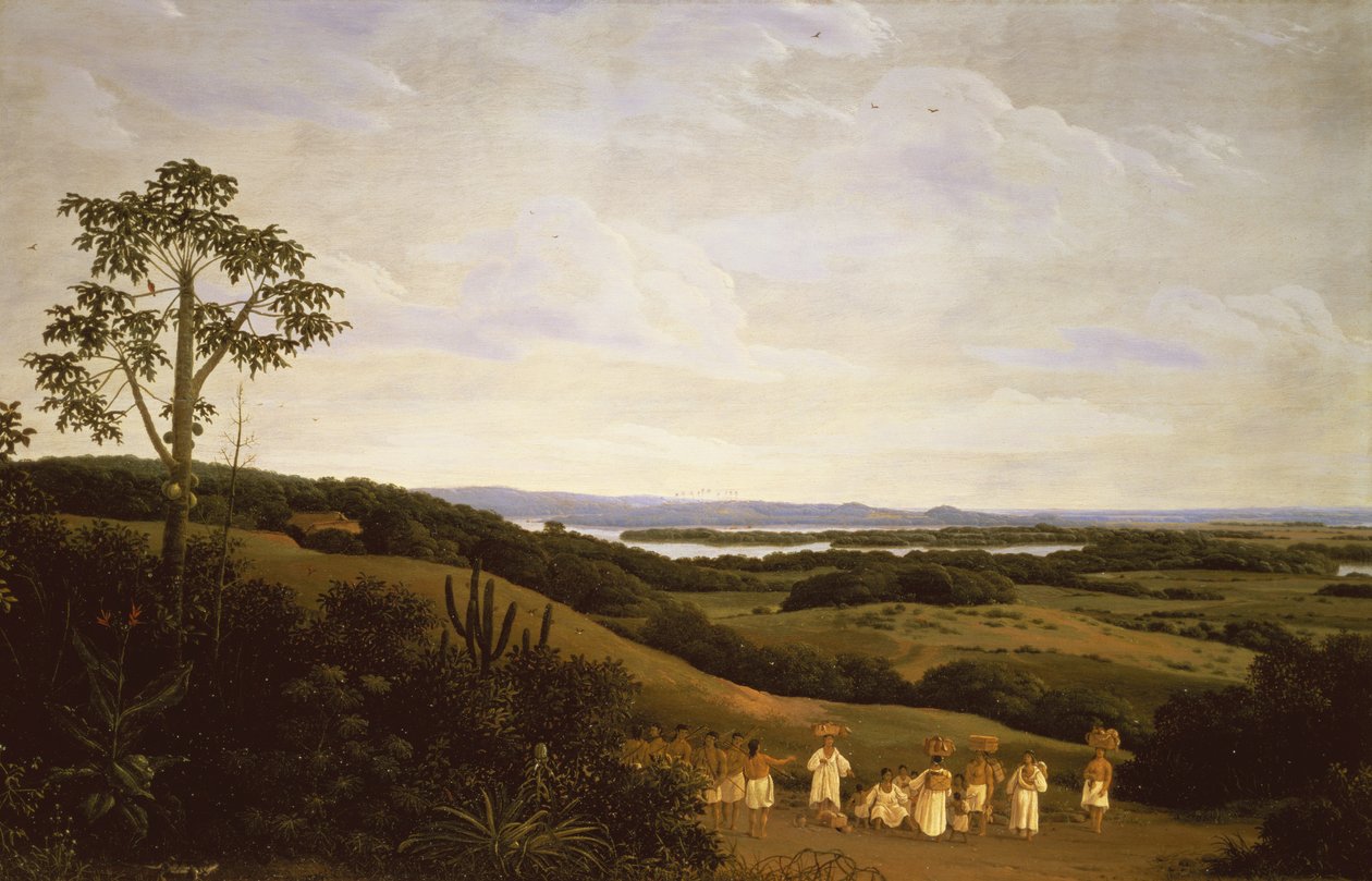 Panoramic View in Brazil with a River in the Distance by Frans Post