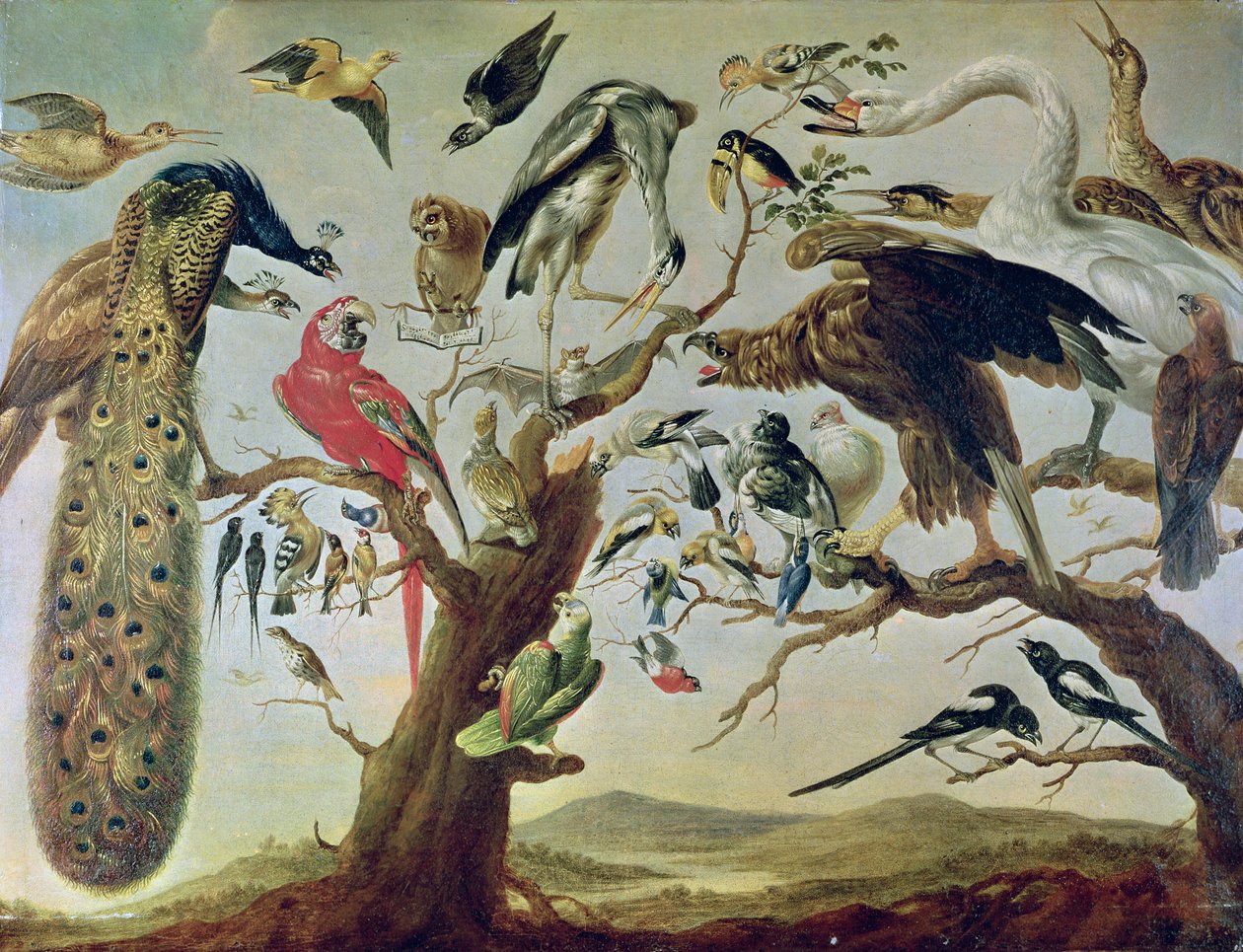 The Bird