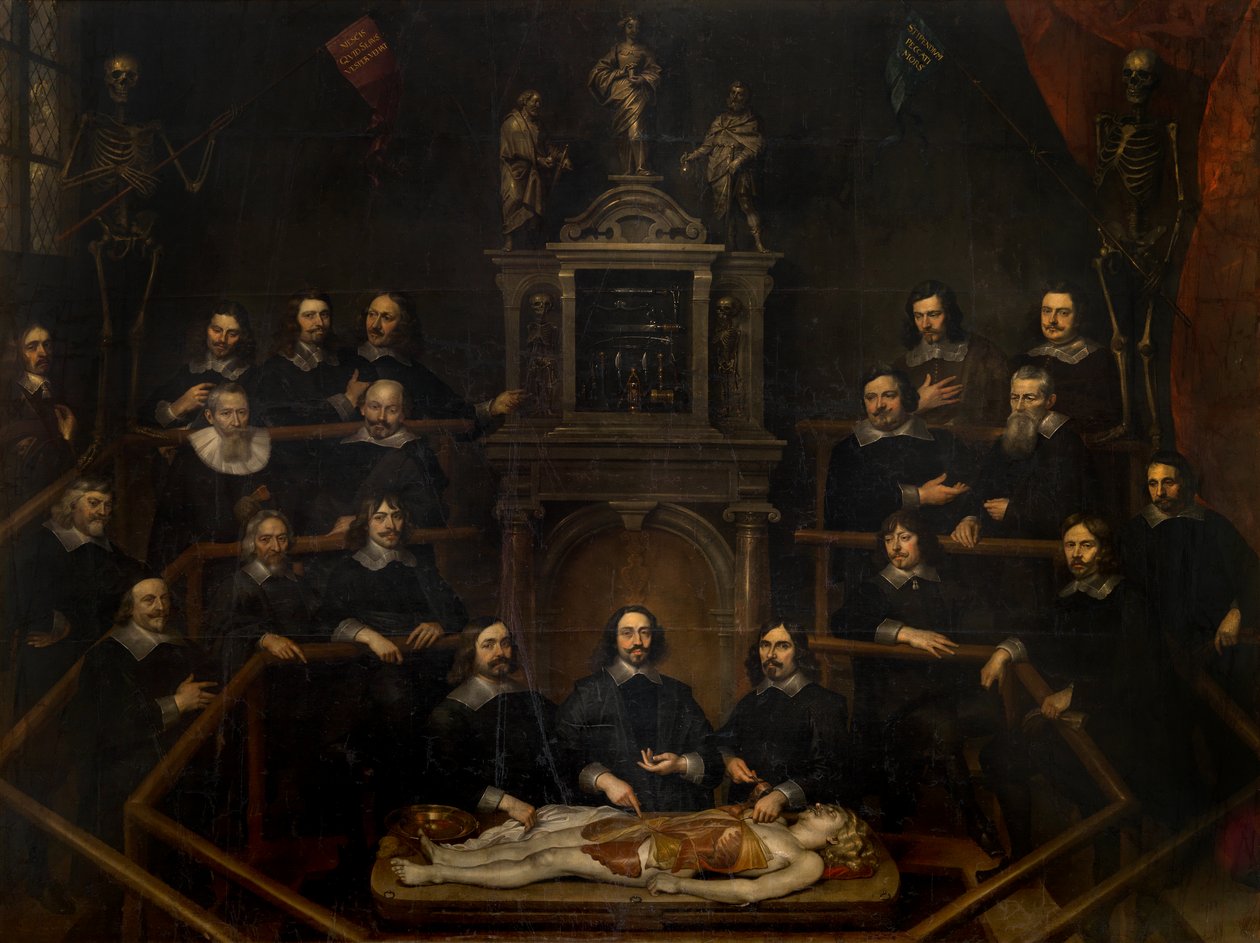 The Anatomy Lesson of Doctor Joannes van Buyten in the Surgeon