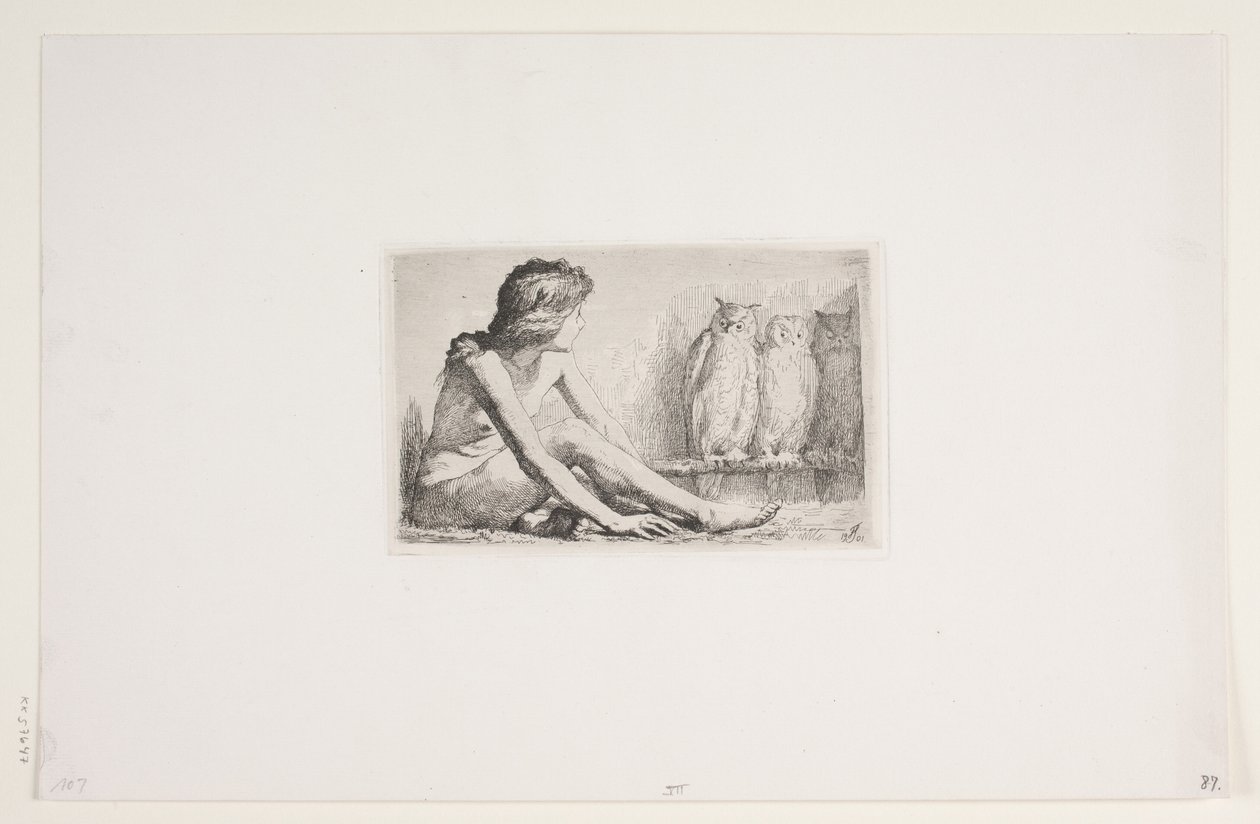 The Girl with the Owls by Frans Schwartz