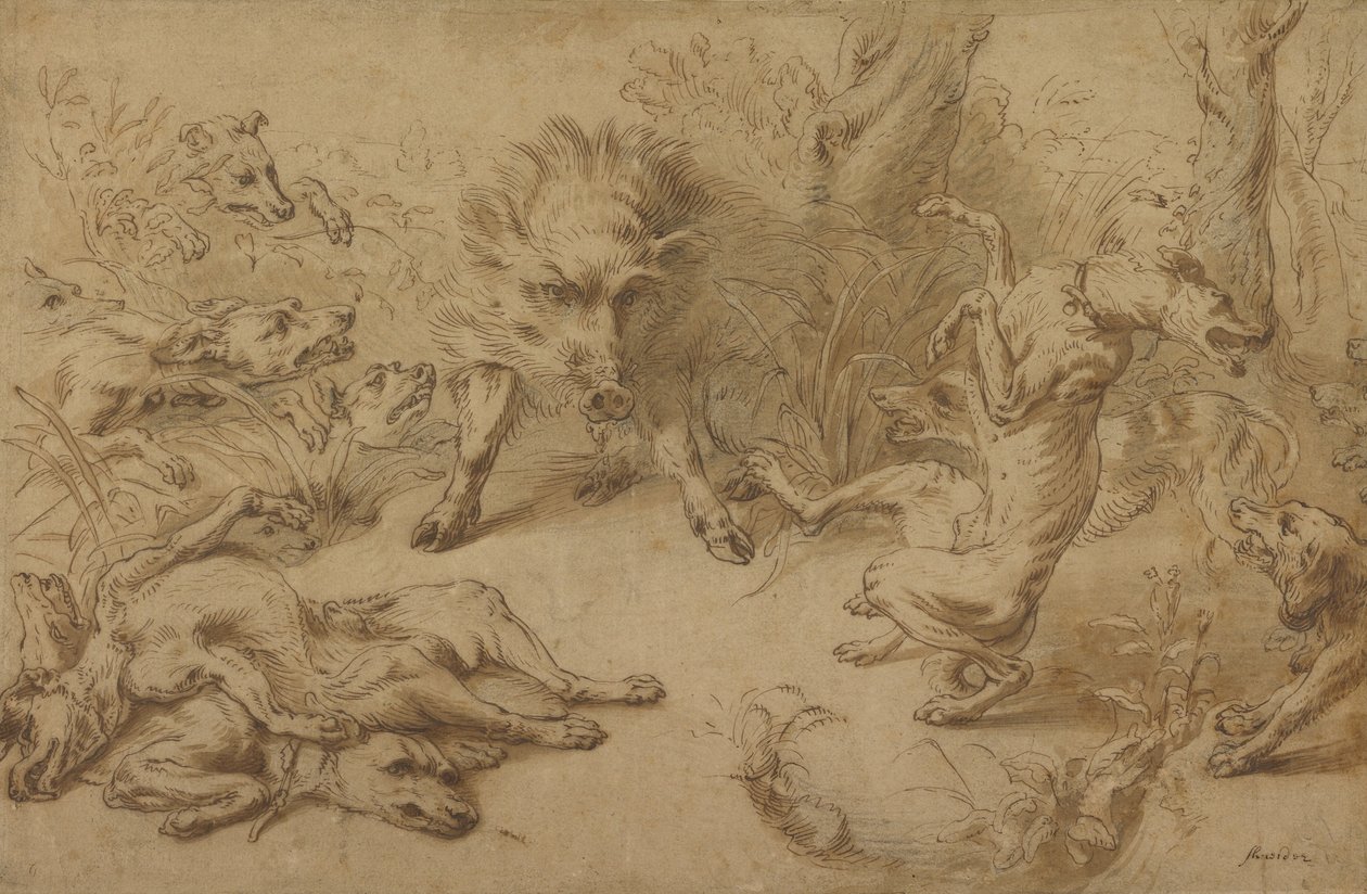A Wild Boar at Bay by Frans Snijders