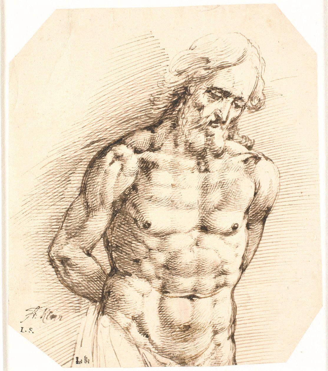 Half-Figure of Christ by Frantz Cleyn: Buy fine art prints
