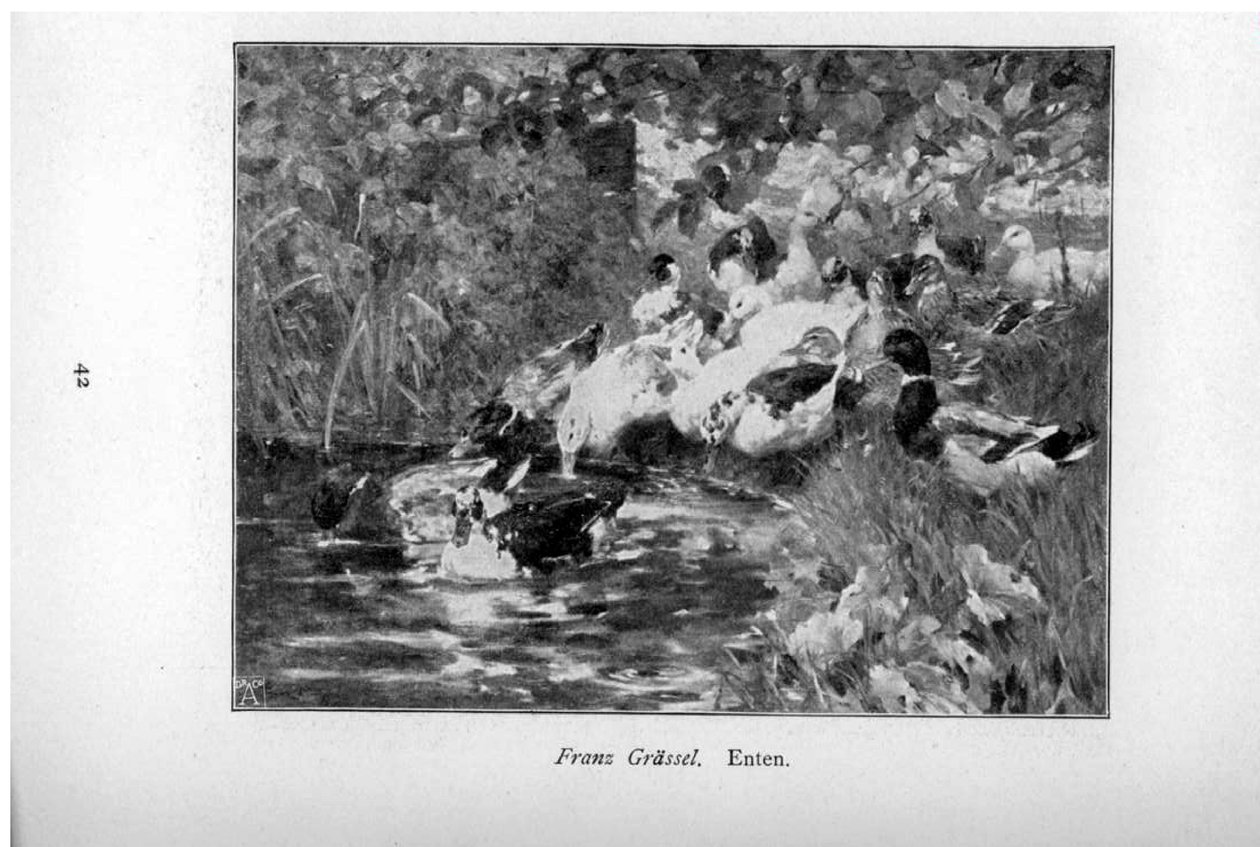 Ducks by Franz Grassel