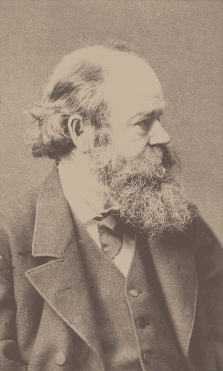 Portrait of the Composer Robert von Hornstein 1833-1890 by Franz Hanfstaengl