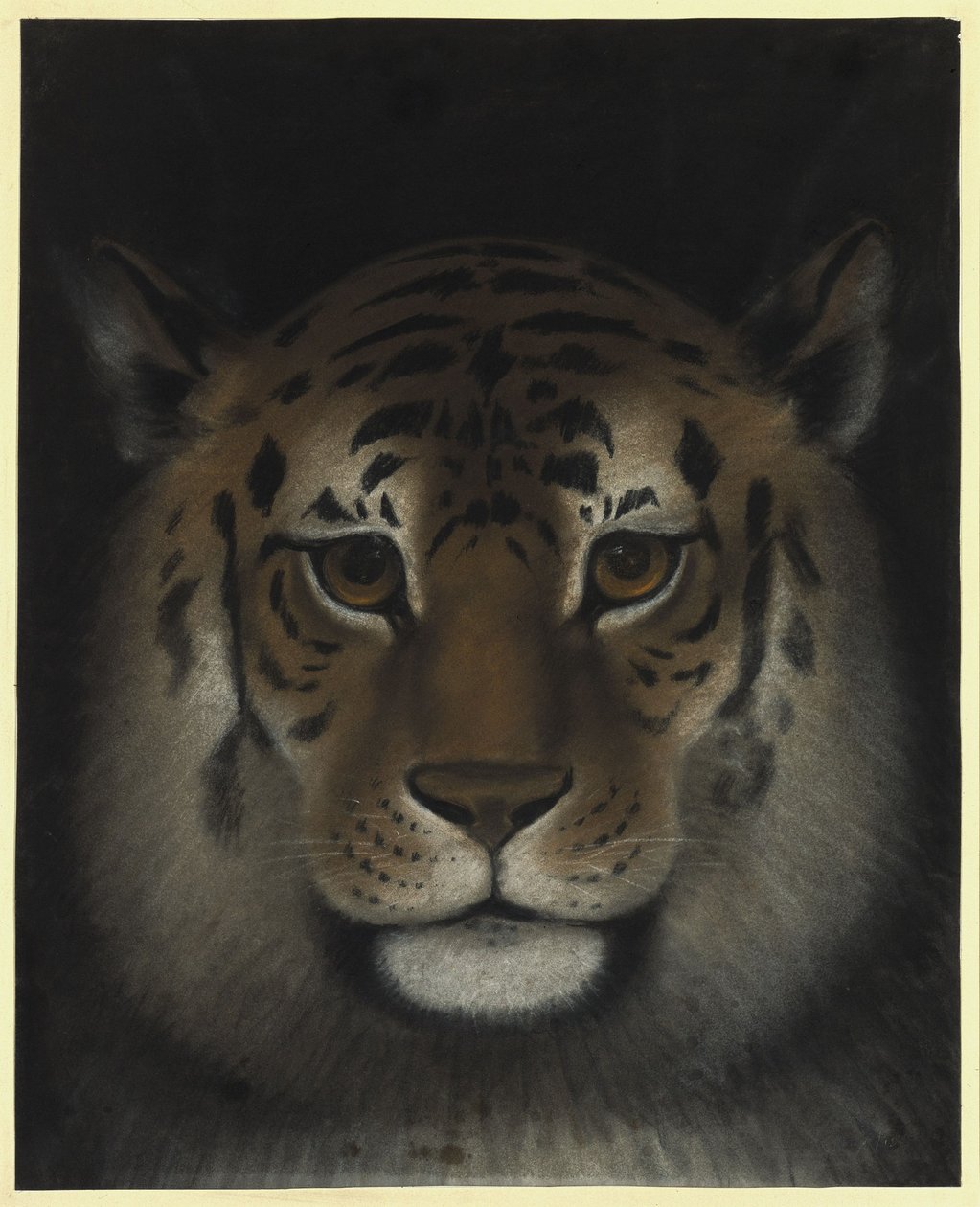 Tiger Head by Franz Krüger