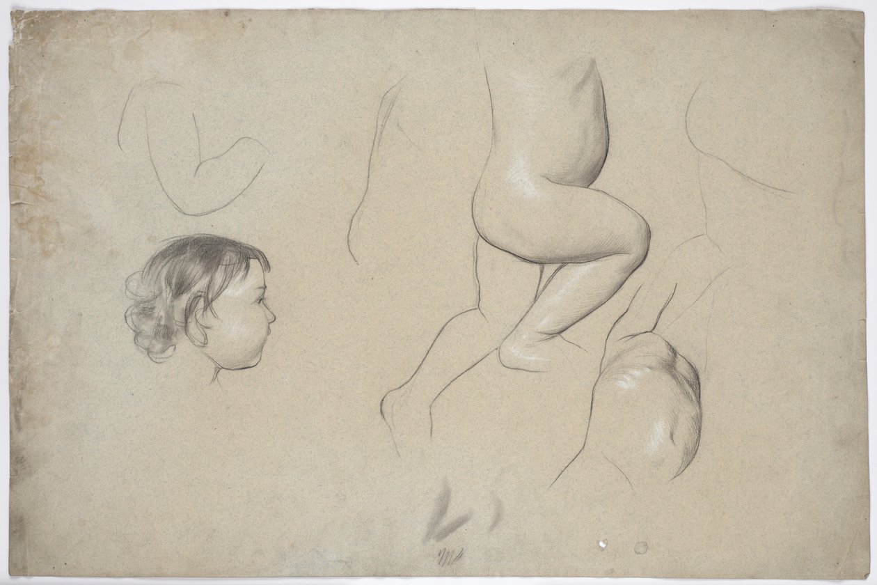 Studies of Children