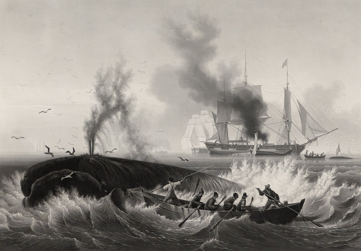 Whale Fishing by Frederic Martens