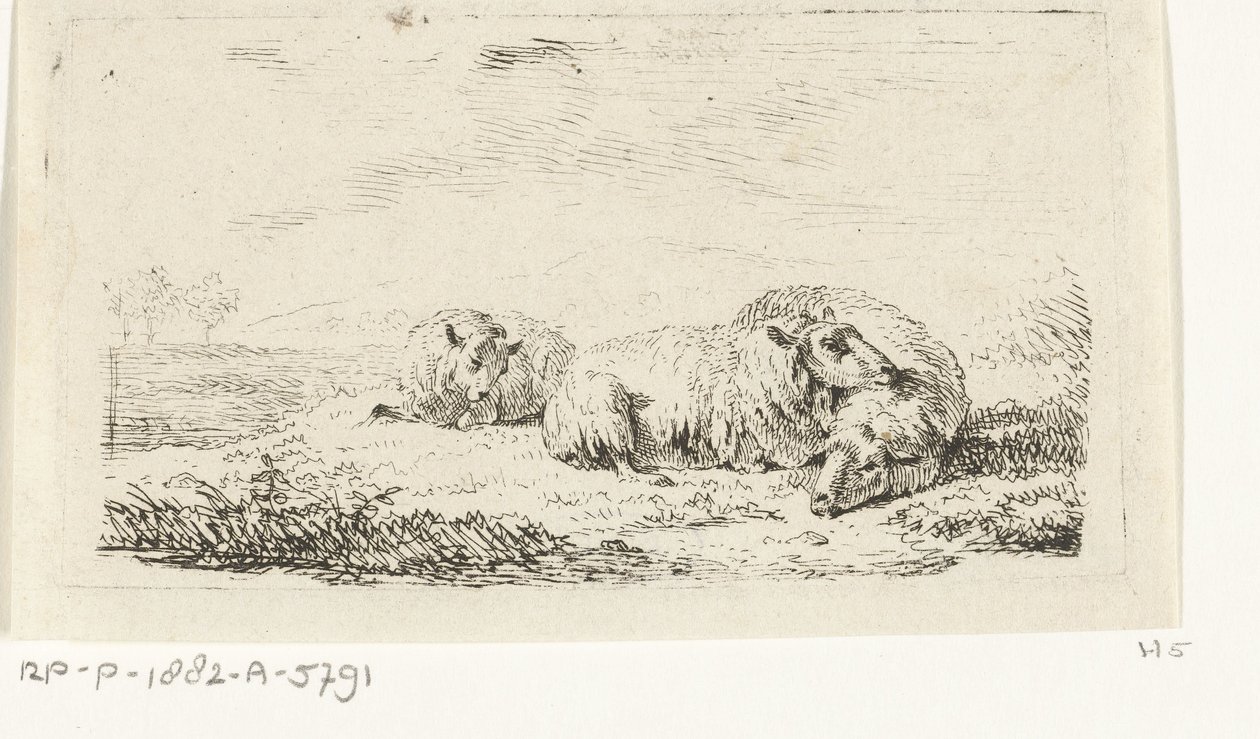 Three Sheep Lying in the Grass by Frédéric Théodore Faber