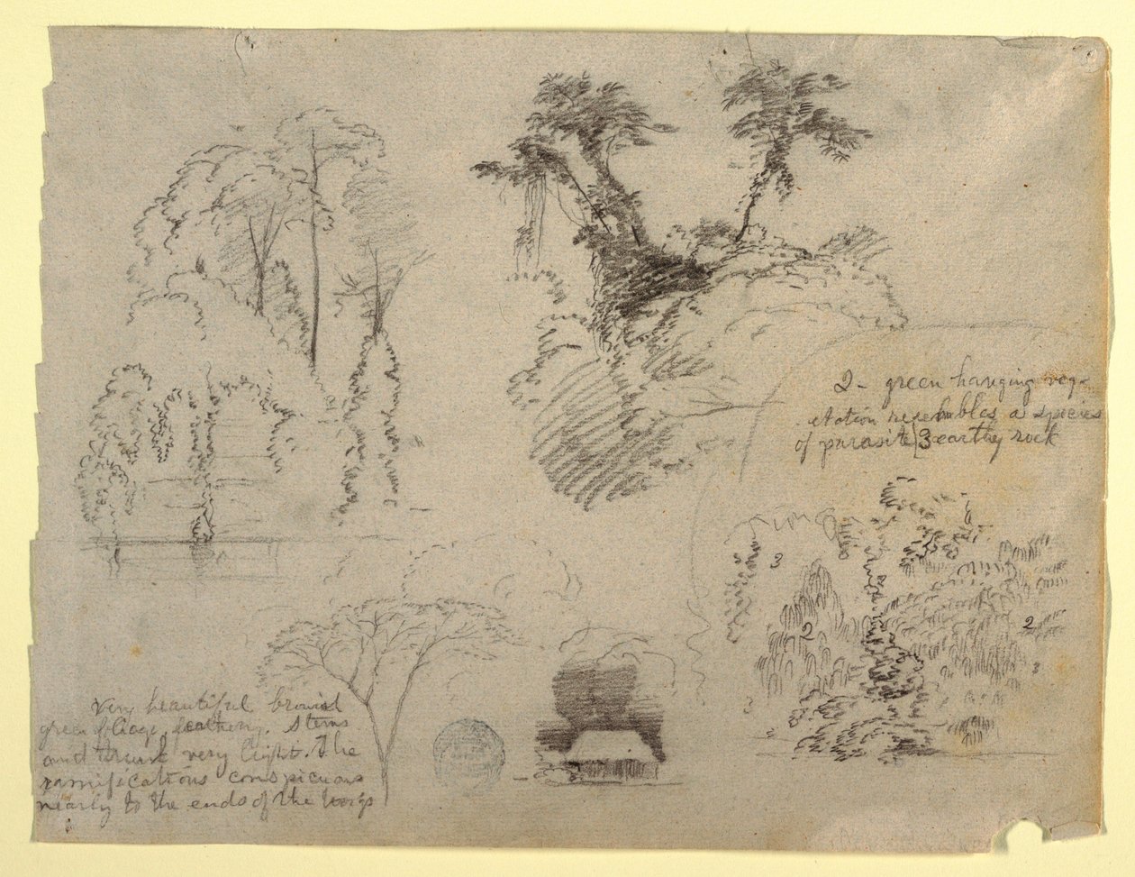 Botanical Studies and a House, probably from Colombia by Frederic Edwin Church