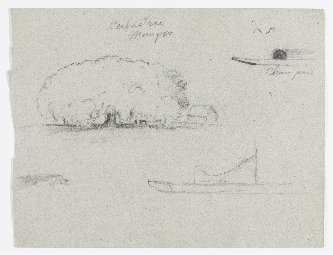 Ceiba Tree at Mompos, Champan Canoe, Trees, and a Partial Boat, Rio Magdalena, Colombia by Frederic Edwin Church