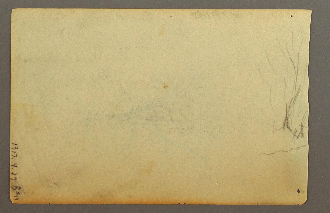 A Leafless Tree, February 1845 by Frederic Edwin Church