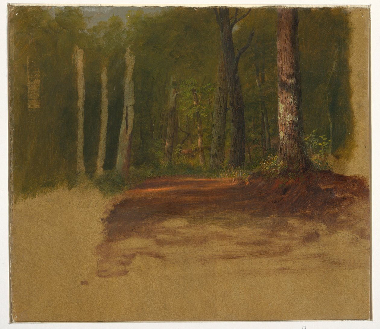 A Road into the Woods, 1850-60 by Frederic Edwin Church
