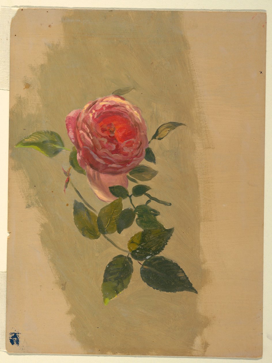 A Rose Bough, 1860-70 by Frederic Edwin Church